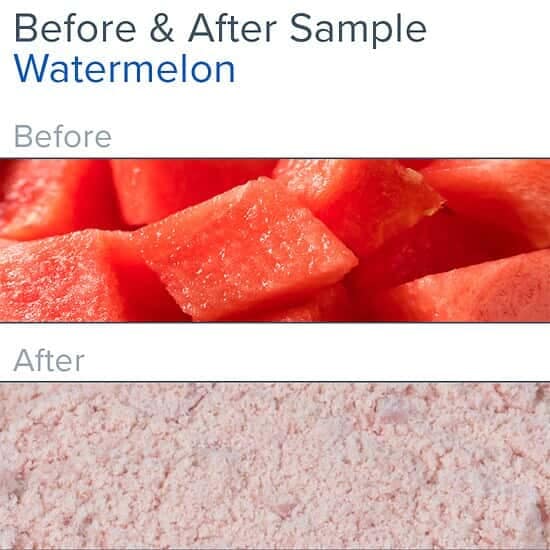 CG-900 Cryo-Blade kryomølle med prøver fra vannmelon
